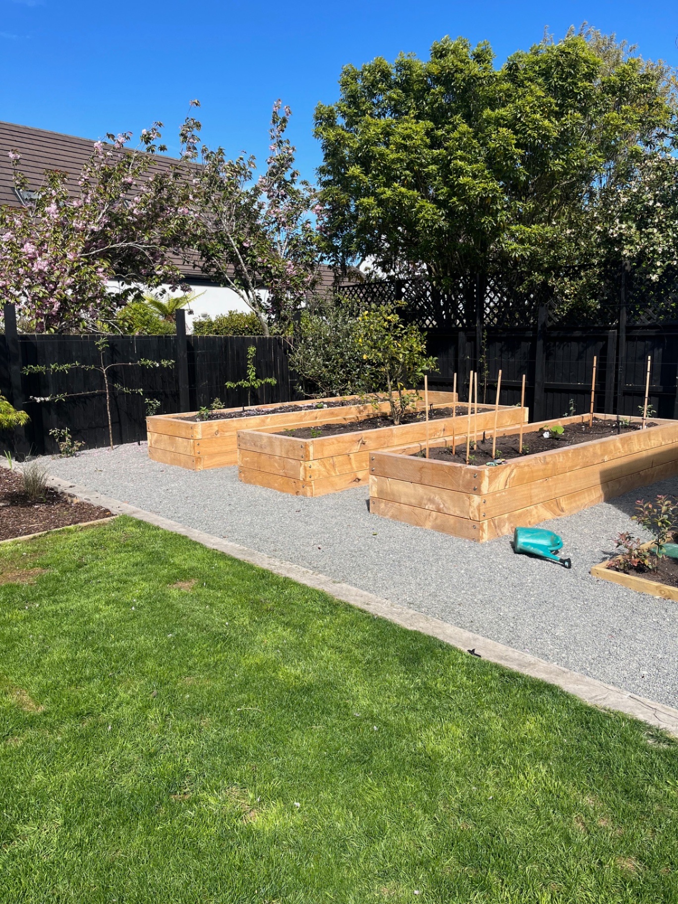 Raised timber planter boxes and landscaped garden